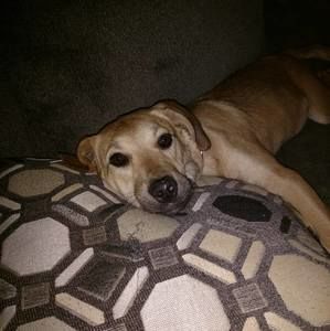 Meet your Posher, Gage